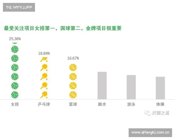 乒乓器材个人梳理【18年经验干货】 乒乓器材个人梳理【18年经验干货】